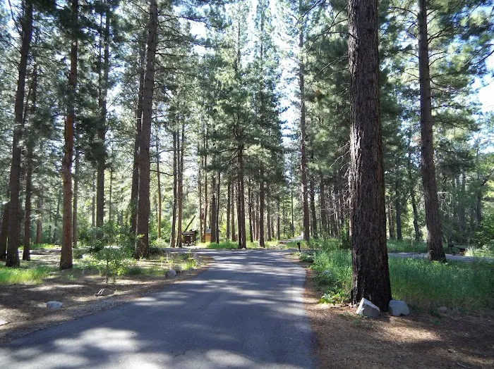 Ponderosa Campground 1
