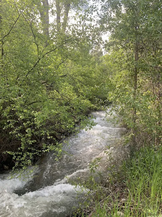 Ponderosa Campground 3
