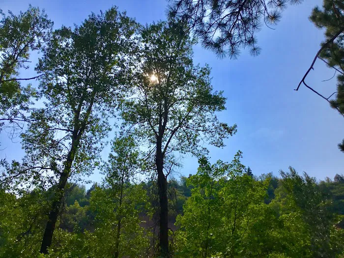 Ponderosa Campground 8