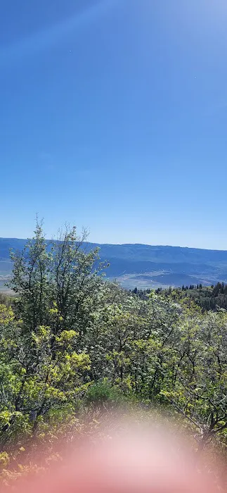Camp Haven 5