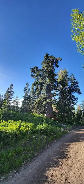 Camp Haven 8