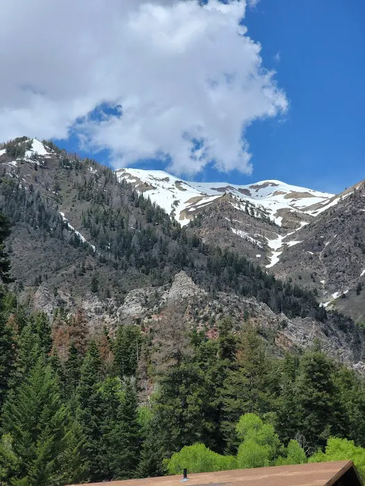 Bear Canyon Campground 0