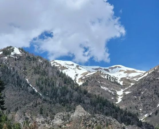 Bear Canyon Campground