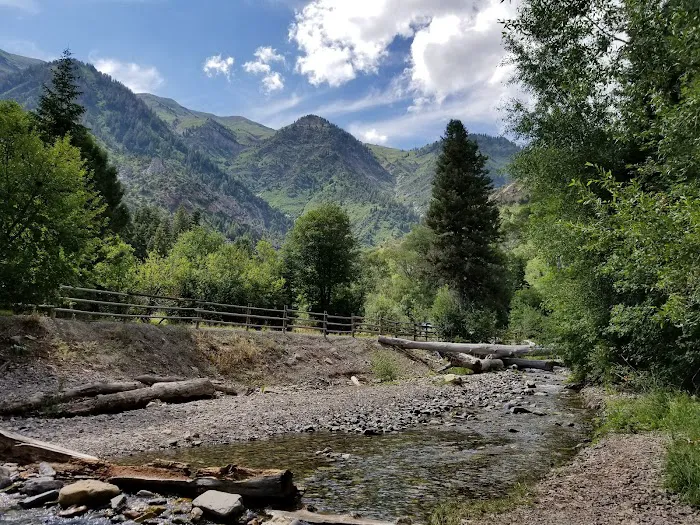Bear Canyon Campground 1