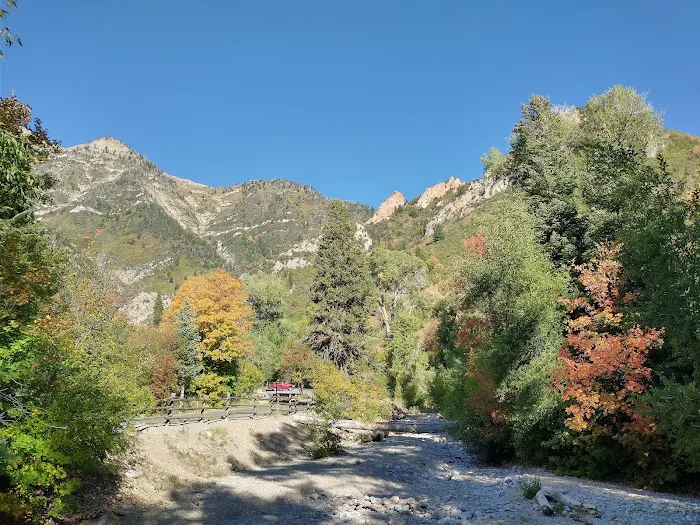 Bear Canyon Campground 5