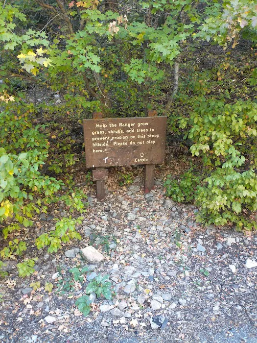 Bear Canyon Campground 3