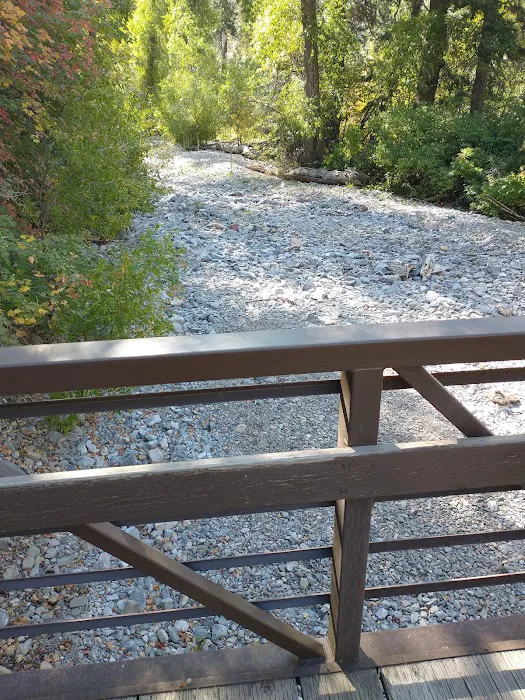 Bear Canyon Campground 4