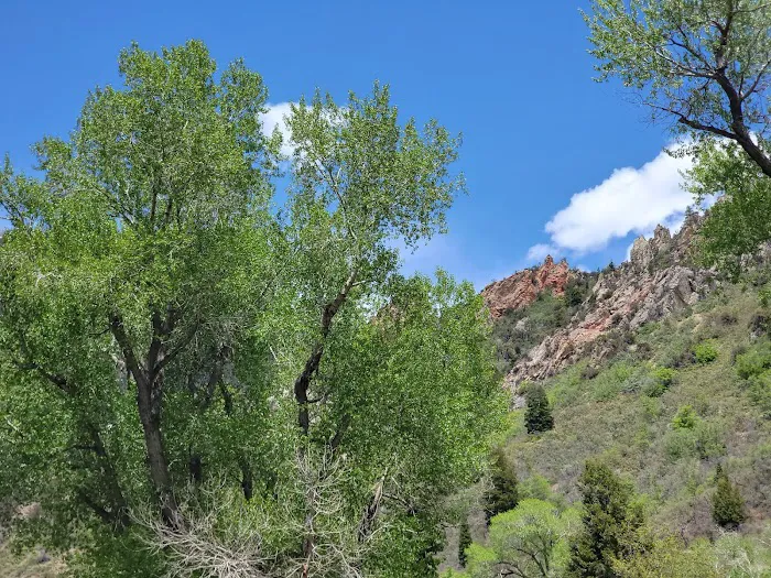 Bear Canyon Campground 6