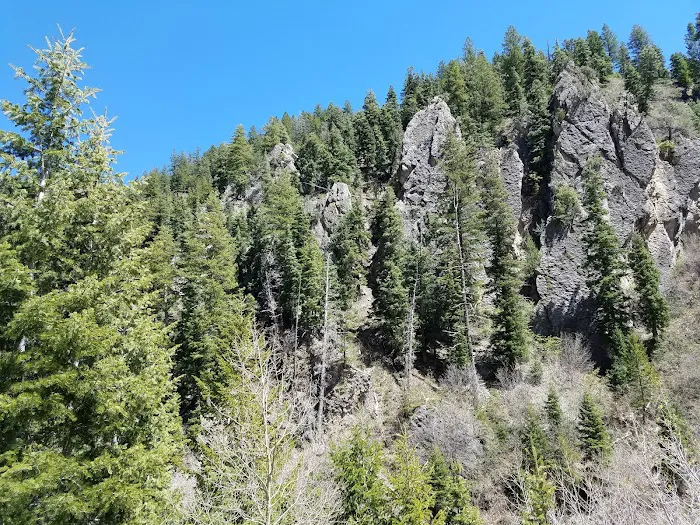 Bear Canyon Campground 7