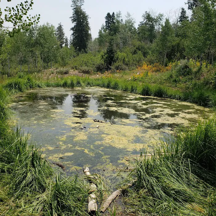 Big Horn Ranch 2