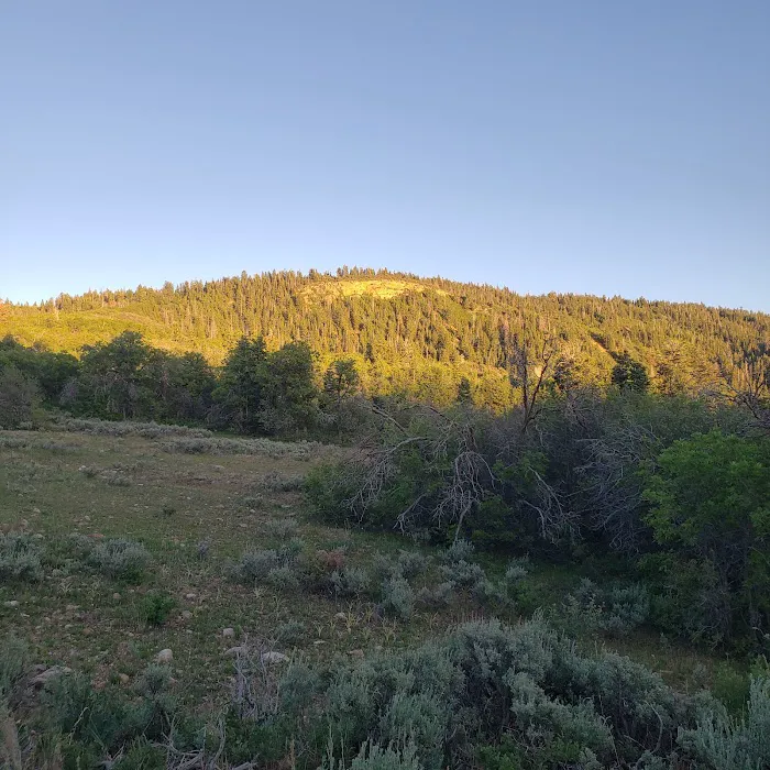 Big Horn Ranch 1