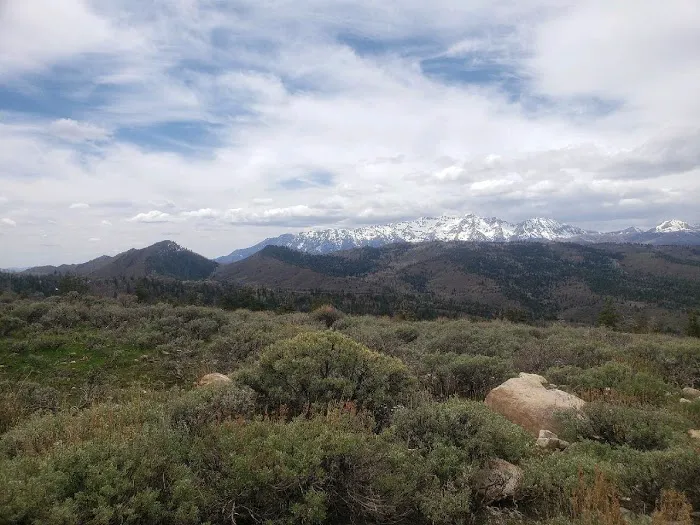 Big Horn Ranch 0