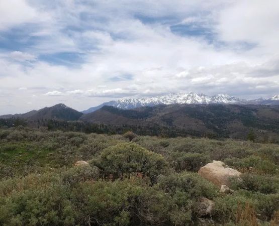 Big Horn Ranch