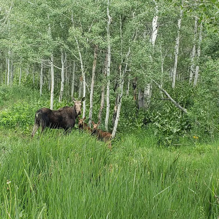 Big Horn Ranch 5