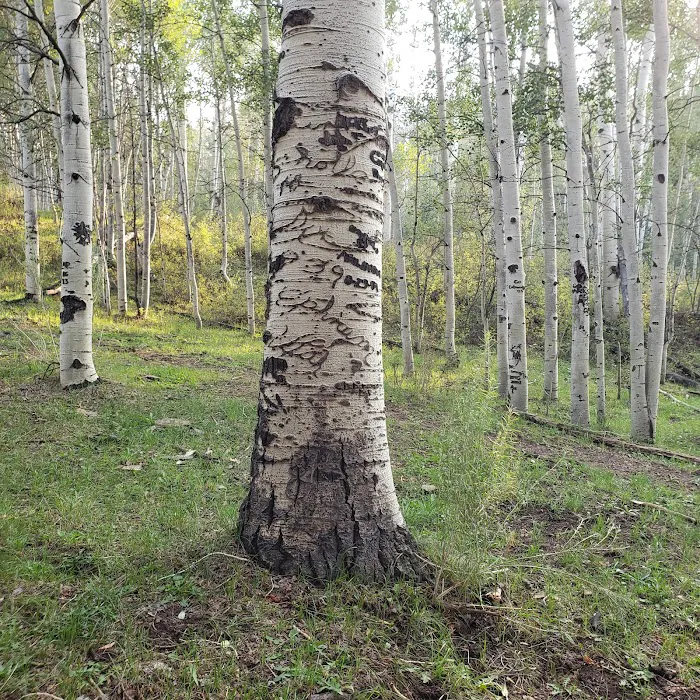 Big Horn Ranch 7