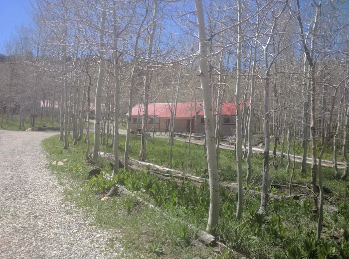 Camp Koholowo 9