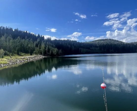 Payson Lakes Group Campsite C