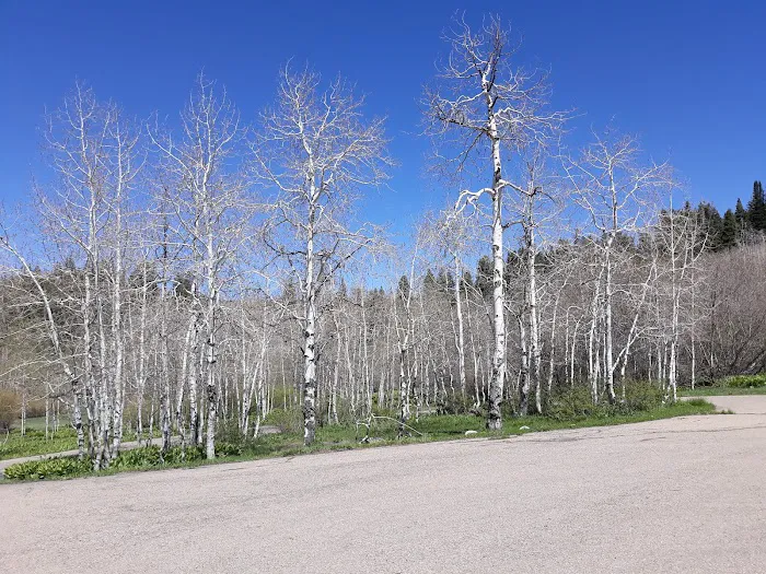 Payson Lakes Group Campsite C 4