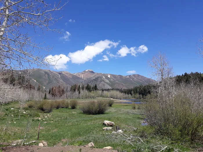 Payson Lakes Group Campsite C 8