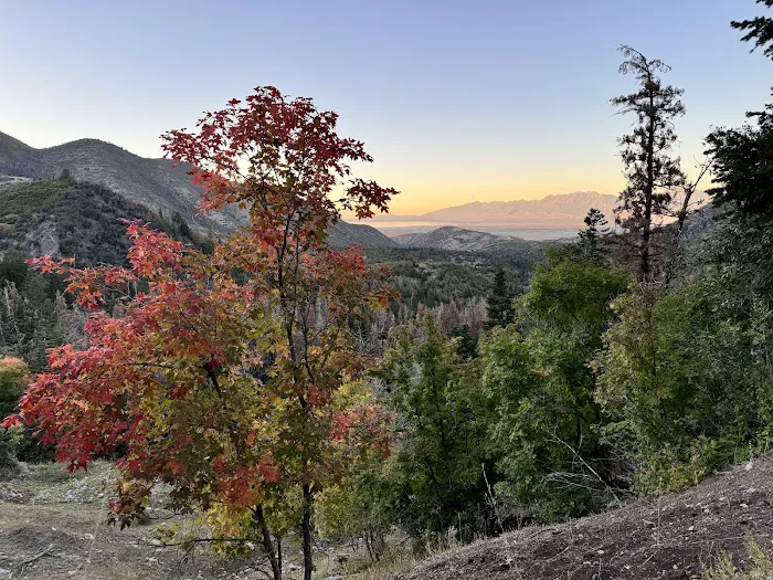 Maple Lake Campground 5