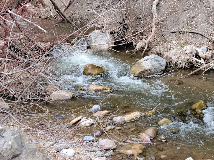 Maple Bench Campground 2