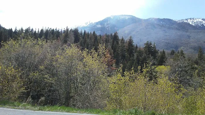 Maple Bench Campground 3