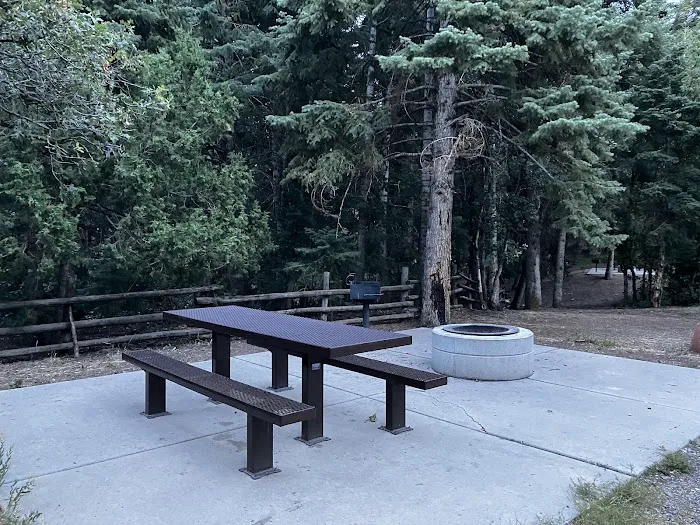 Maple Bench Campground 5