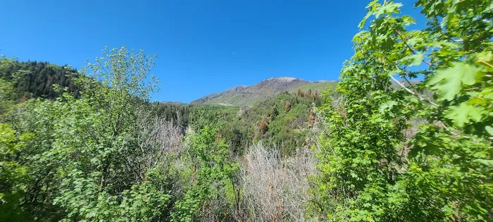 Maple Bench Campground 7