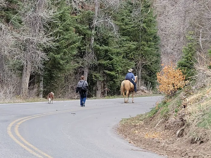 Maple Bench Campground 8