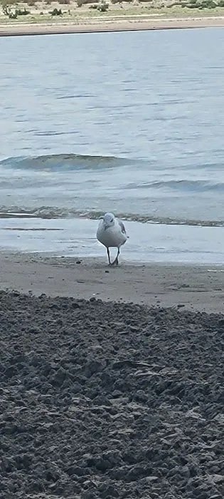 North Beach Campground 5