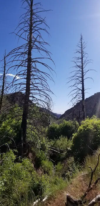 Little Creek Campground 0