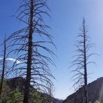 Little Creek Campground