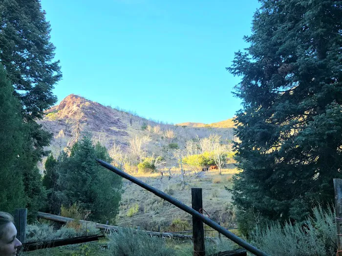 Little Creek Campground 1