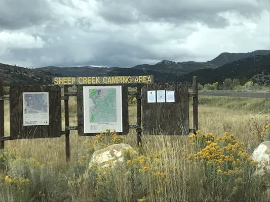 Sheep Creek Camping Area 1