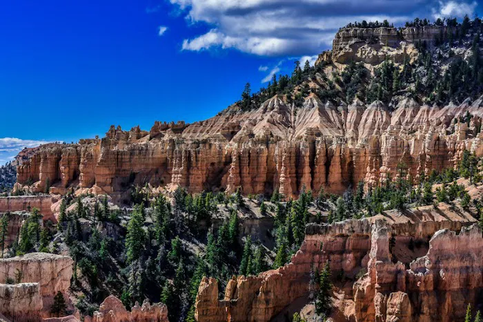 Sheep Creek Camping Area 7