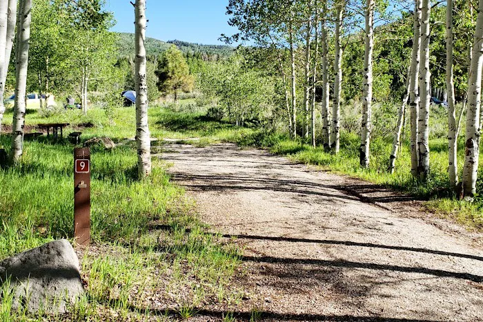 Gooseberry Campground 4
