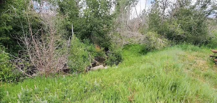 Gooseberry Campground 5