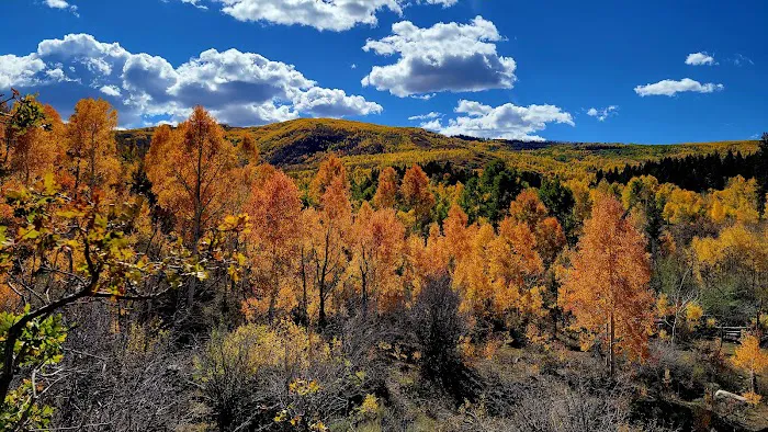 Gooseberry Campground 6