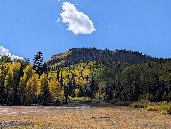 Salina Reservoir CUA Dispersed Campground 5