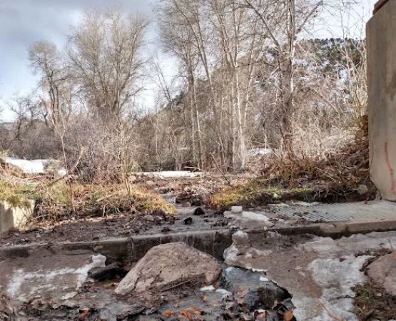 Saul's Meadow Campground