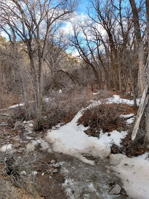 Saul's Meadow Campground 1