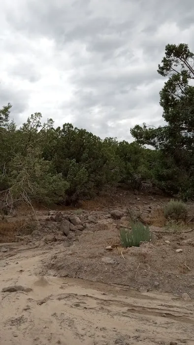 Saul's Meadow Campground 2