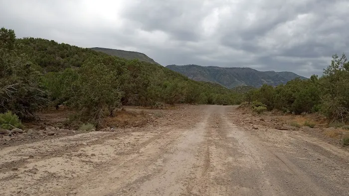 Saul's Meadow Campground 3