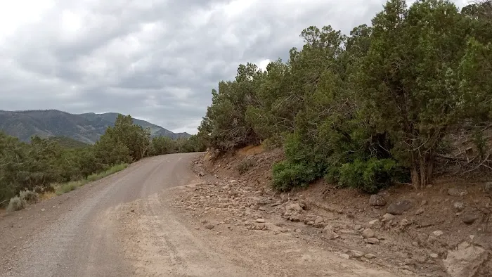 Saul's Meadow Campground 4