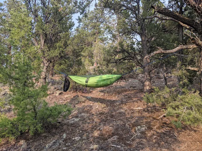 Arch Dam Group Campground 5