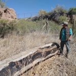 Mountainwest Mobile Home Campground