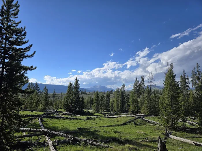 Bighorn Pass Campground 2
