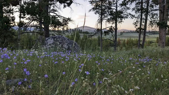 Bighorn Pass Campground 1