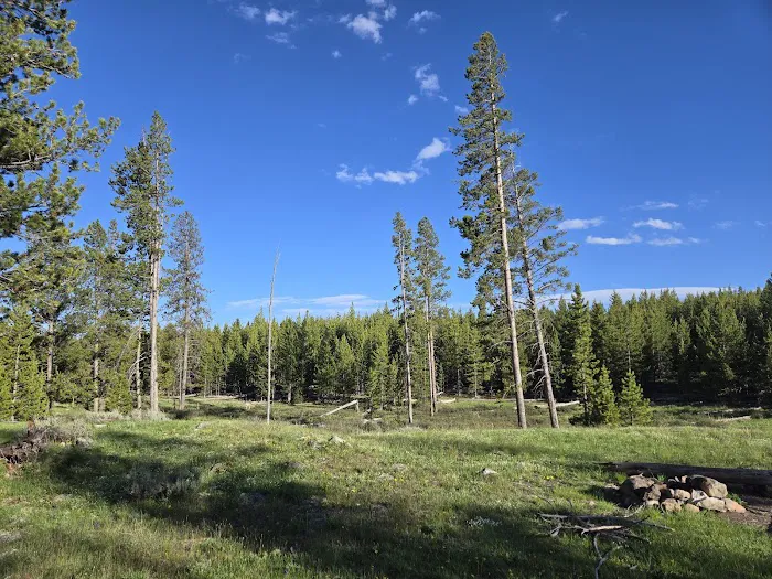 Bighorn Pass Campground 3