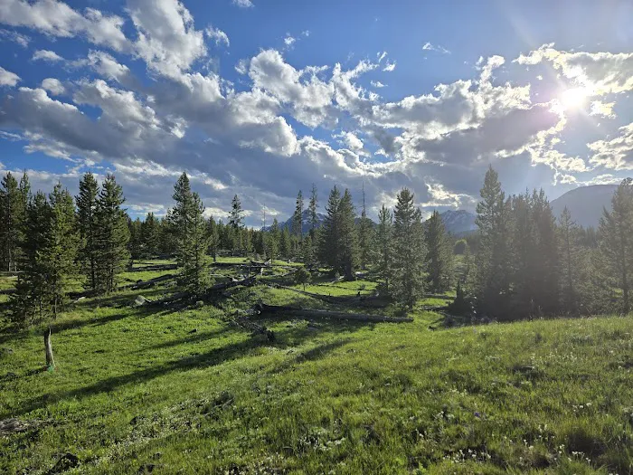 Bighorn Pass Campground 4